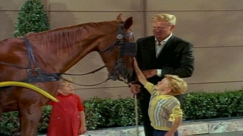 undefined Season 1 Episode 3 - The Gift Horse