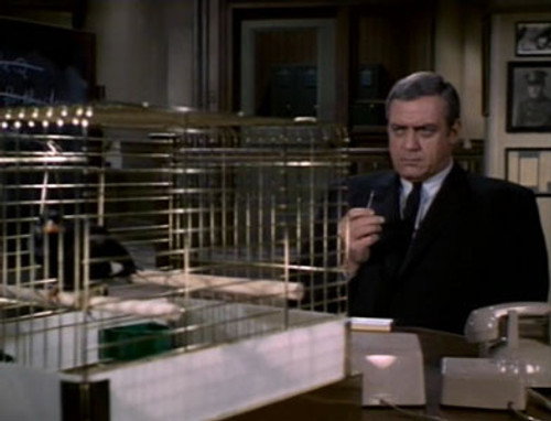 Ironside Season 2 Episode 10 - The Macabre Mr. Micawber