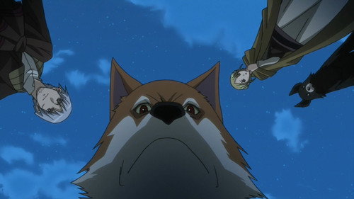 undefined Season 1 Episode 12 - Wolf and a New Beginning