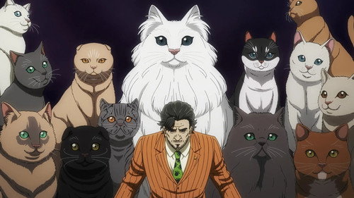 Cats in Prison still