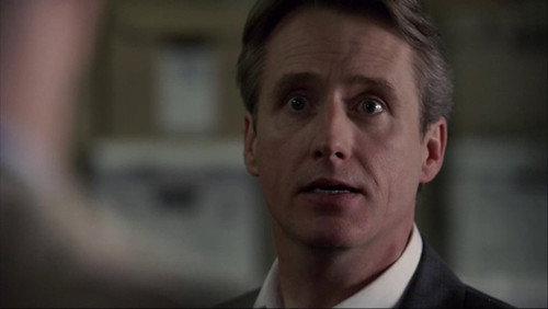 Law & Order Season 20 Episode 15 - Brilliant Disguise