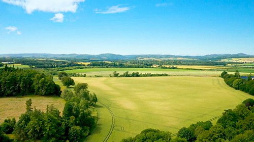 Blairgowrie still