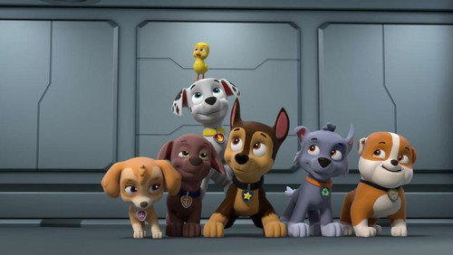 PAW Patrol Season 9 Episode 5 - Big Truck Pups: Pups Save the Big Big Pipes