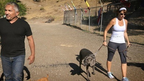 Cesar 911 Season 2 Episode 8 - Twice Bitten