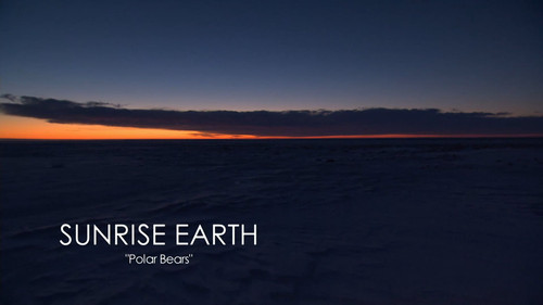 Sunrise Earth Season 3 Episode 17 - Polar Bears