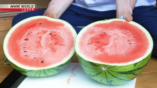 Trails to Oishii Tokyo Season 4 Episode 17 - WATERMELON