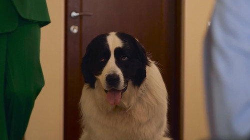 Fetch! Season 2 Episode 18 - Episode 18