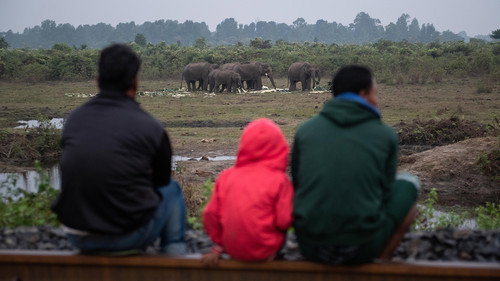 Foreign Correspondent Season 28 Episode 1 - Man v Wild
