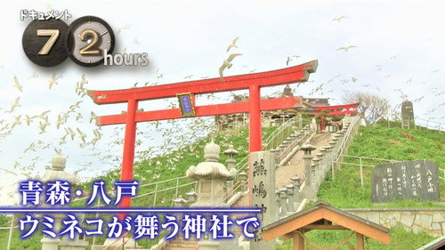Document 72 Hours Season 14 Episode 19 - The Aomori Shrine Where "Umineko" Soar
