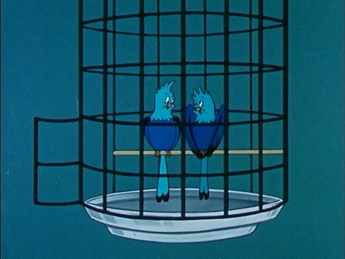 Popeye the Sailor Season 2 Episode 9 - Love Birds