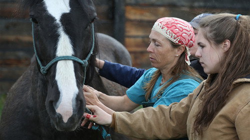Dr. Oakley, Yukon Vet Season 4 Episode 8 - Bear Brawl