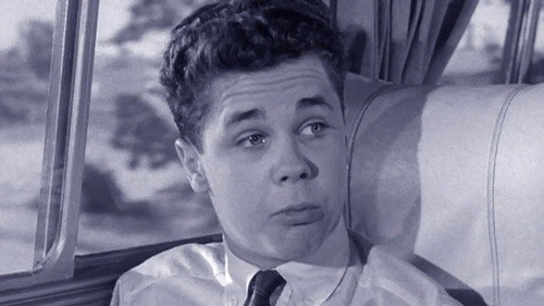 Leave It to Beaver Season 2 Episode 24 - The Bus Ride