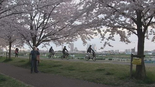 Document 72 Hours Season 6 Episode 16 - Following the Cherry Blossoms Upstream: A Three-Day Trip Along the Tama River