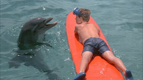Flipper Season 1 Episode 4 - The Gulf Between