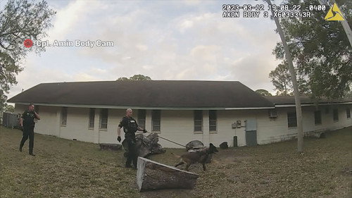 Body Cam Season 8 Episode 3 - Line of Duty