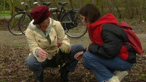 Oppassen!!! Season 2 Episode 14 - The First Rooster
