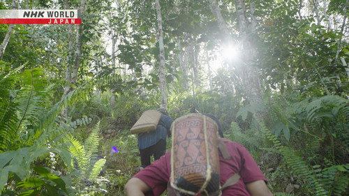 Asia Insight Season 10 Episode 9 - Reviving Indigenous Designs: North Borneo, Malaysia
