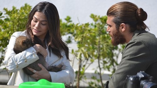 Erkenci Kuş Season 1 Episode 35 - Episode 35