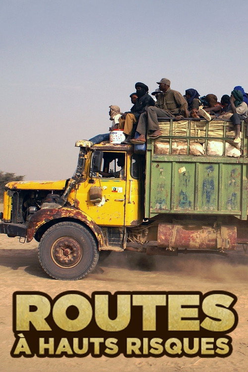 Fahrt ins Risiko poster