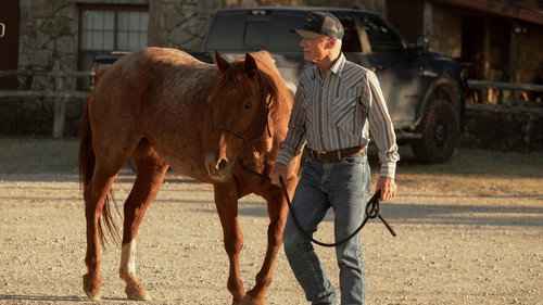 Dutton Ranch Season 1 Episode 5 - Peaceful Find Peace
