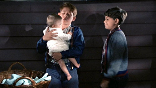 undefined Season 7 Episode 10 - Opie Finds a Baby