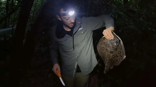 7 vs. Wild Season 5 Episode 8 - Episode 8