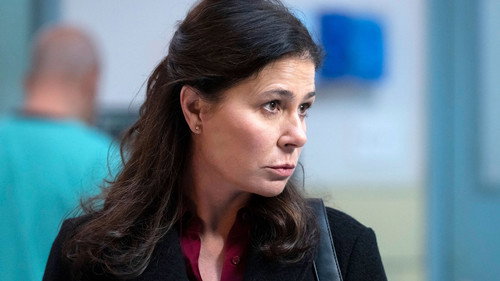 Law & Order Season 24 Episode 12 - Duty to Protect