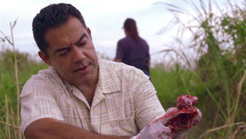 The Glades Season 2 Episode 10 - Swamp Thing