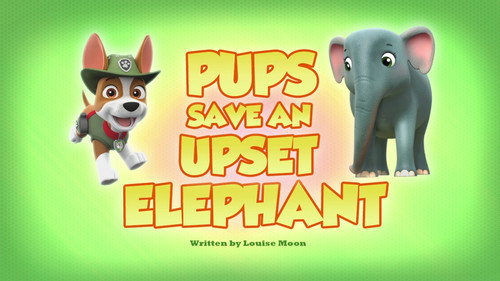 Pups Save an Upset Elephant still