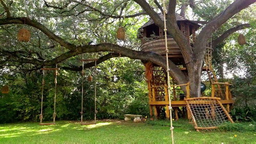 Treehouse Masters Season 5 Episode 4 - Treehouse Masters International: Brazil