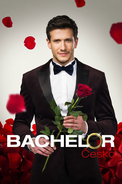 Bachelor Czech Republic poster