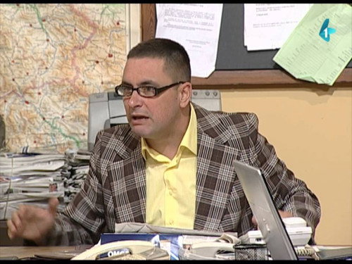 233 Stršljenovi still