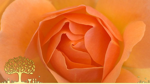 Gardeners' World Season 55 Episode 17 - Episode 17