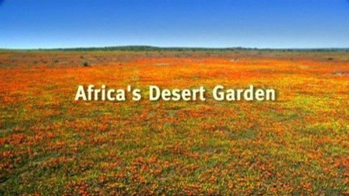 Natural World Season 25 Episode 6 - Africa's Desert Garden