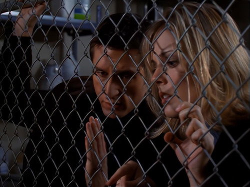 Seven Days Season 3 Episode 11 - Head Case