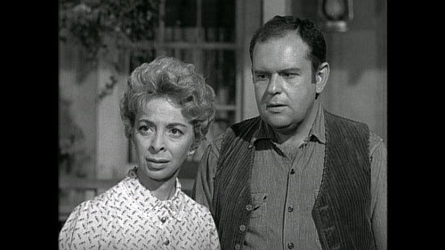 Lady with a Gun still