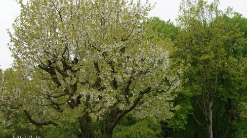 Natur im Garten Season 25 Episode 3 - Episode 3