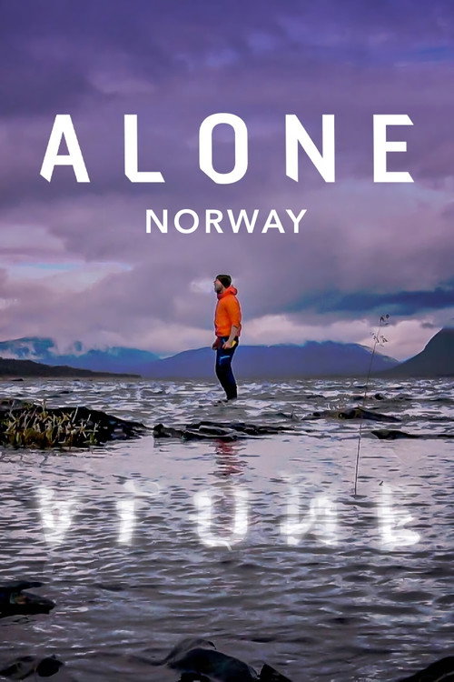 Alone Norway poster