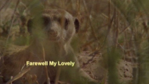 Meerkat Manor Season 3 Episode 10 - Farewell, My Lovely