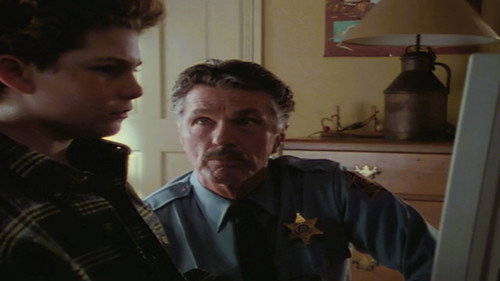 Picket Fences Season 3 Episode 12 - Frog Man Returns