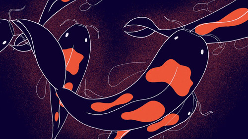 Headspace Guide to Sleep Season 1 Episode 3 - The Weird World of Dreams