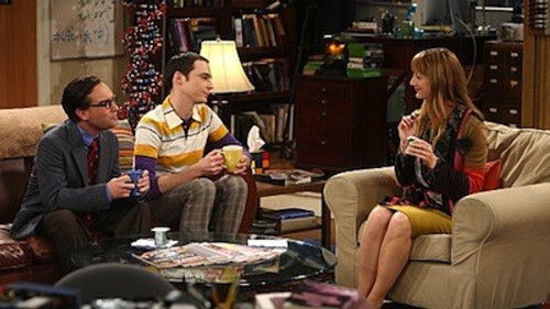 The Big Bang Theory Season 3 Episode 21 - The Plimpton Stimulation