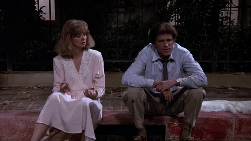 Cheers Season 5 Episode 14 - Diamond Sam