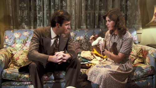 The Waltons Season 7 Episode 17 - The Pin-Up