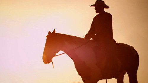 Web of Lies Season 7 Episode 4 - Lonesome Cowboy
