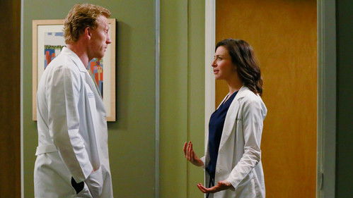 Grey's Anatomy Season 11 Episode 20 - One Flight Down