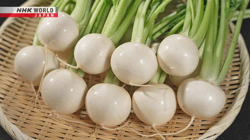 Trails to Oishii Tokyo Season 7 Episode 2 - Turnip