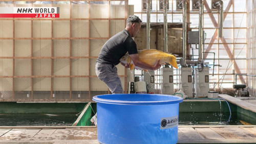 Journeys in Japan Season 16 Episode 13 - Nagaoka: Water, the Wellspring of Abundance