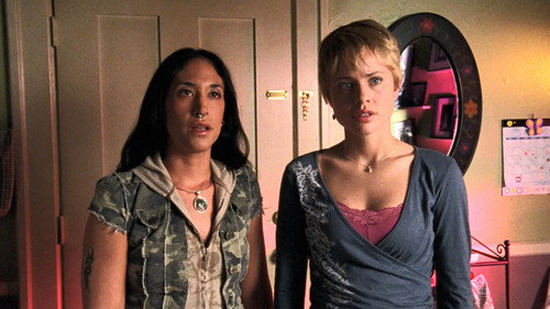 Veronica Mars Season 3 Episode 11 - Poughkeepsie, Tramps and Thieves
