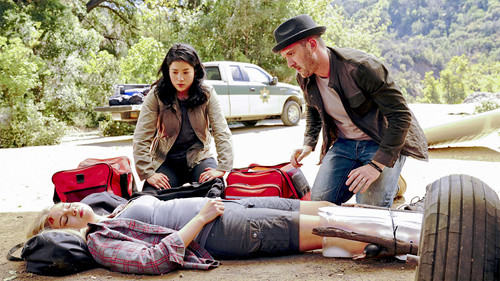 Scorpion Season 4 Episode 10 - Crime Every Mountain
